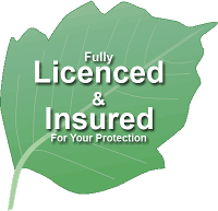 Fully Licensed & Insured For Your Protection